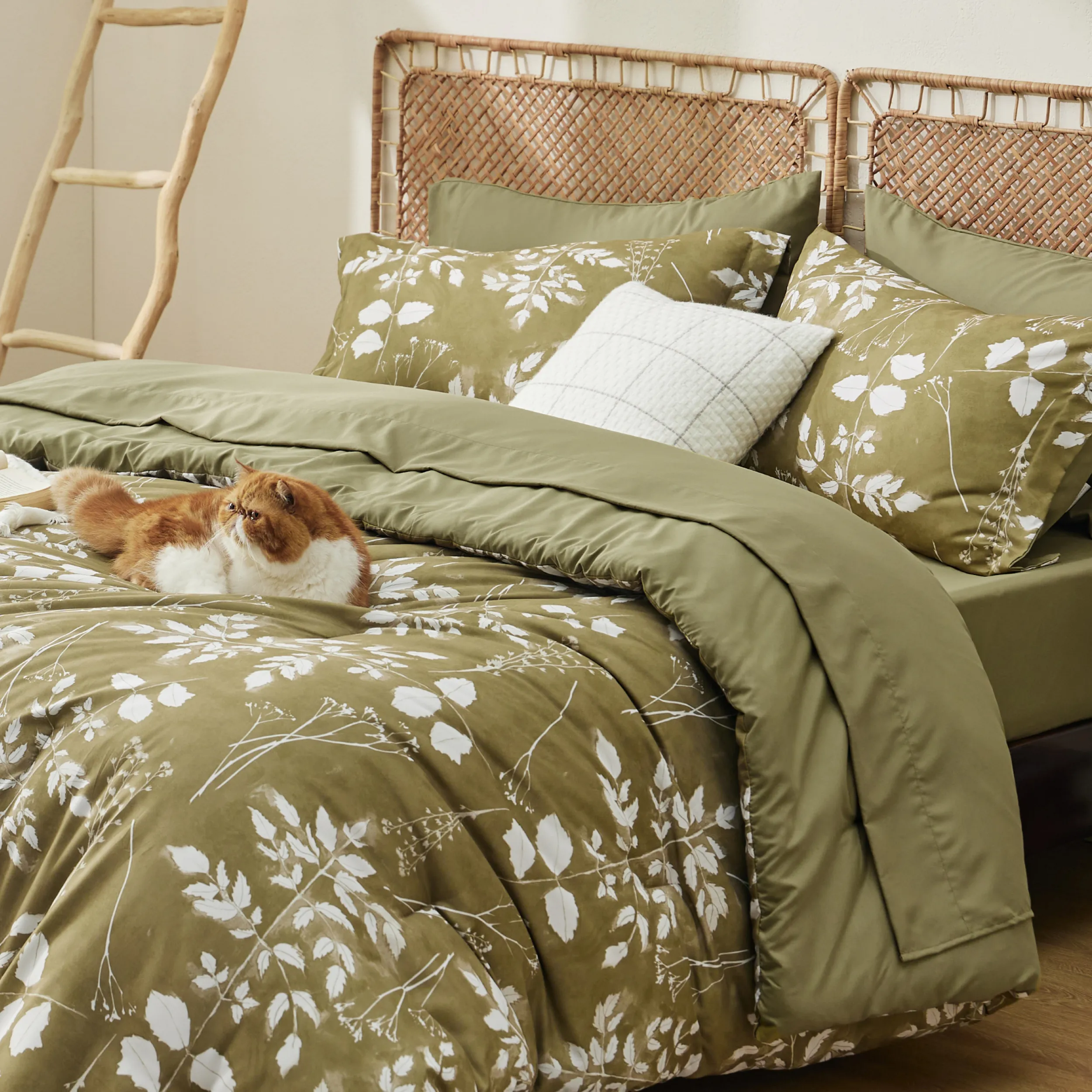 Product image 81