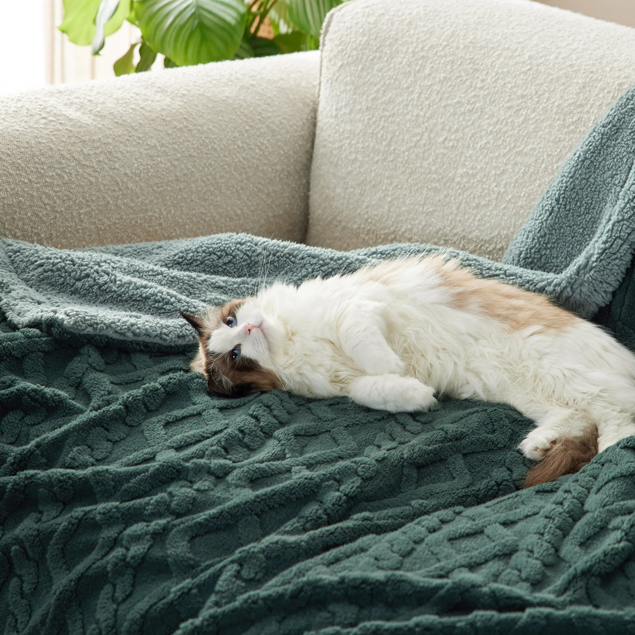 Product image 66