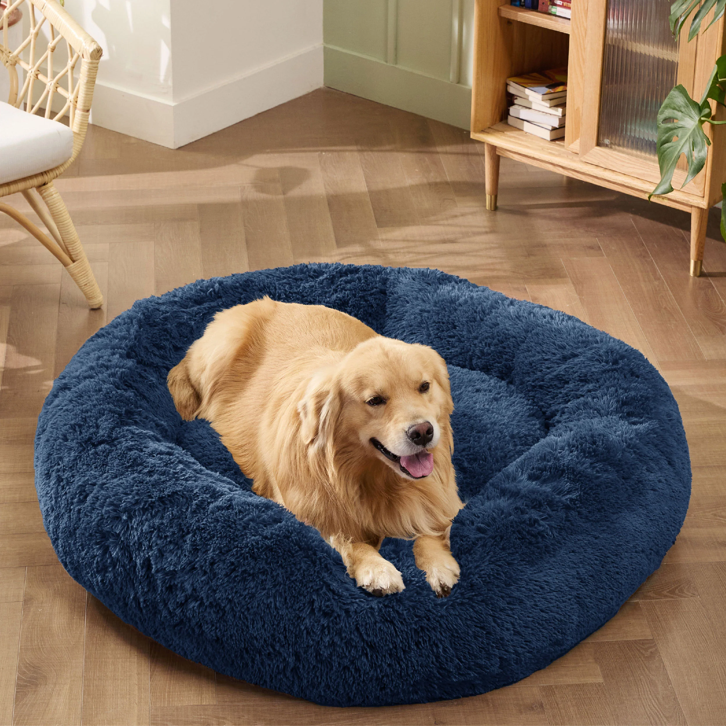 Product image 123