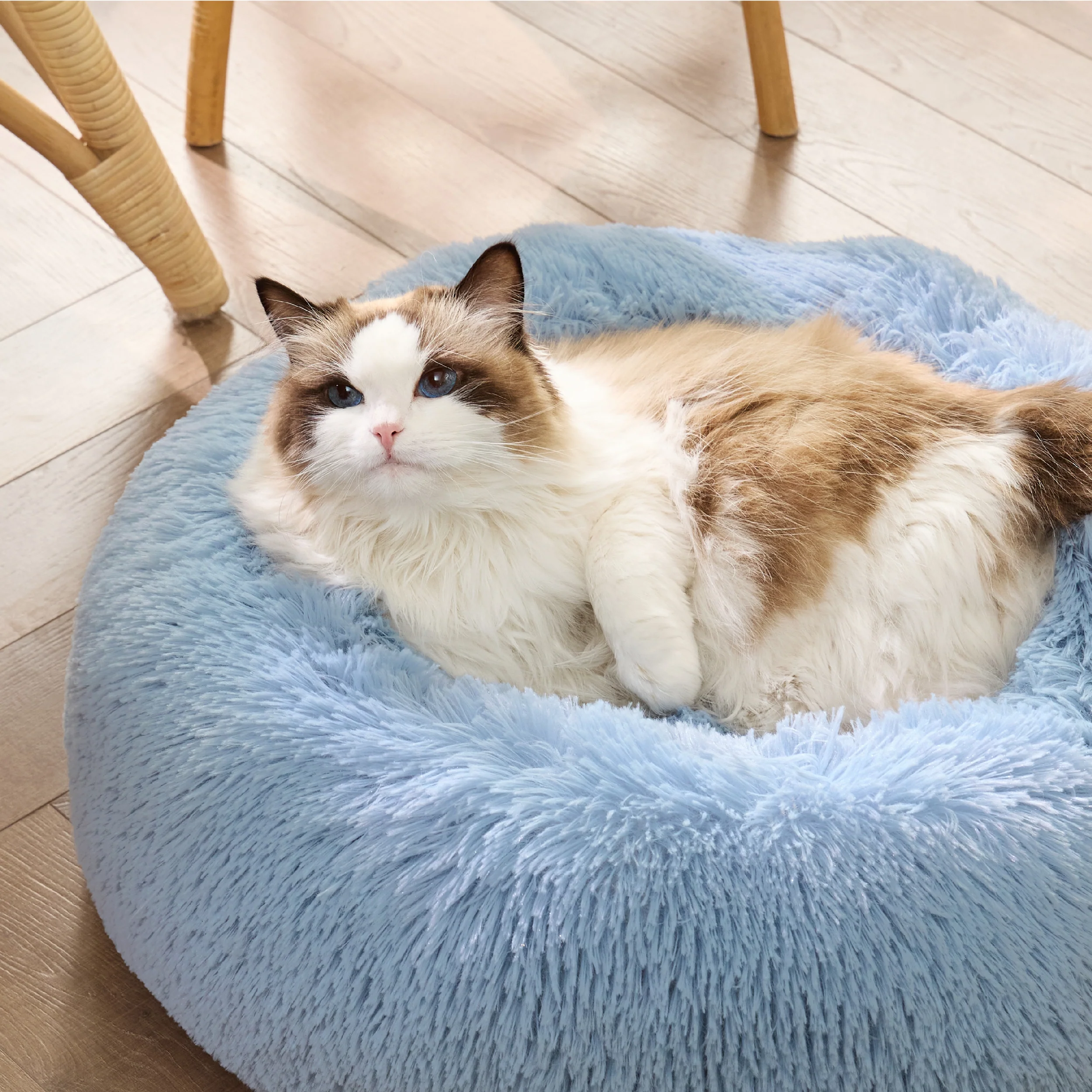 Product image 50