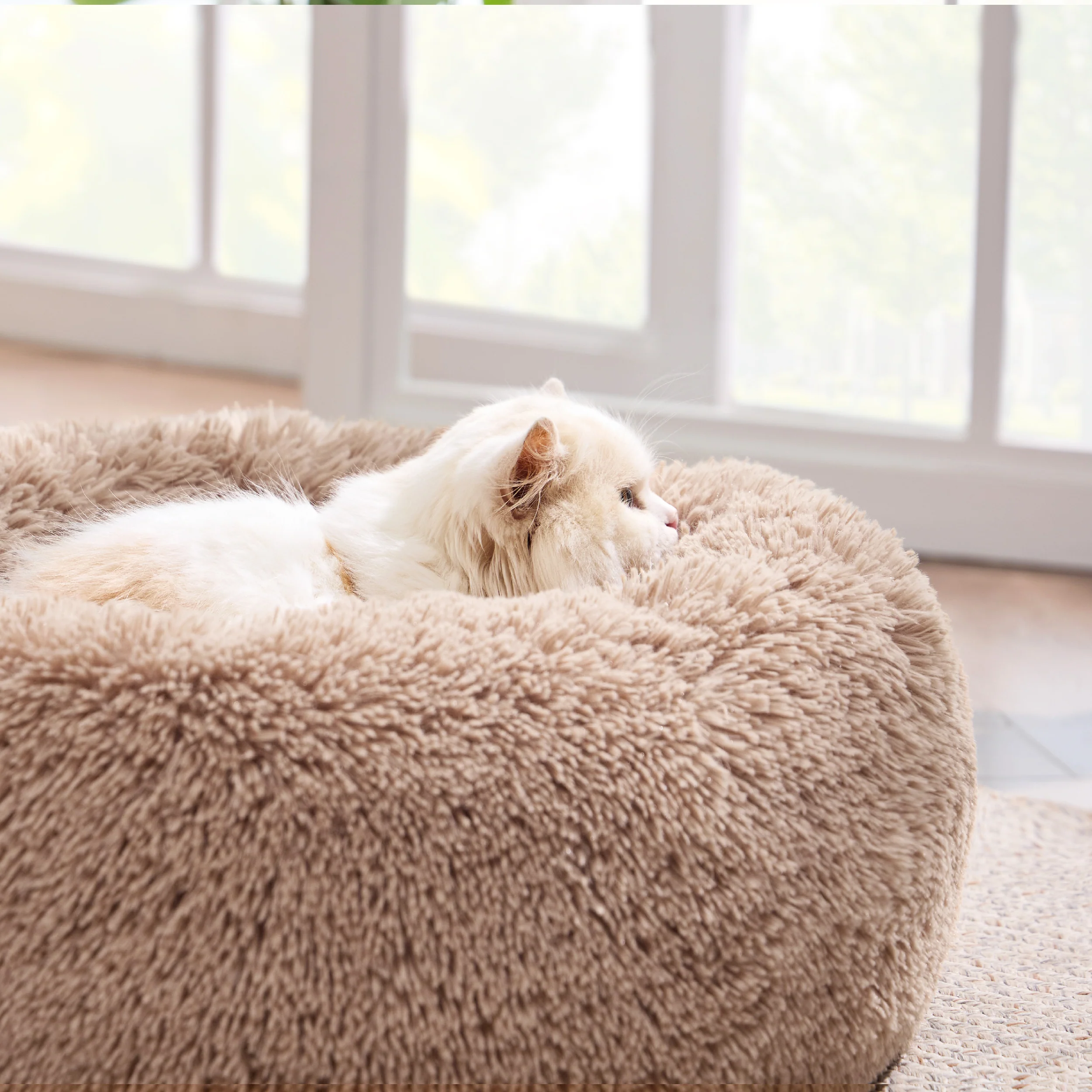 Product image 82