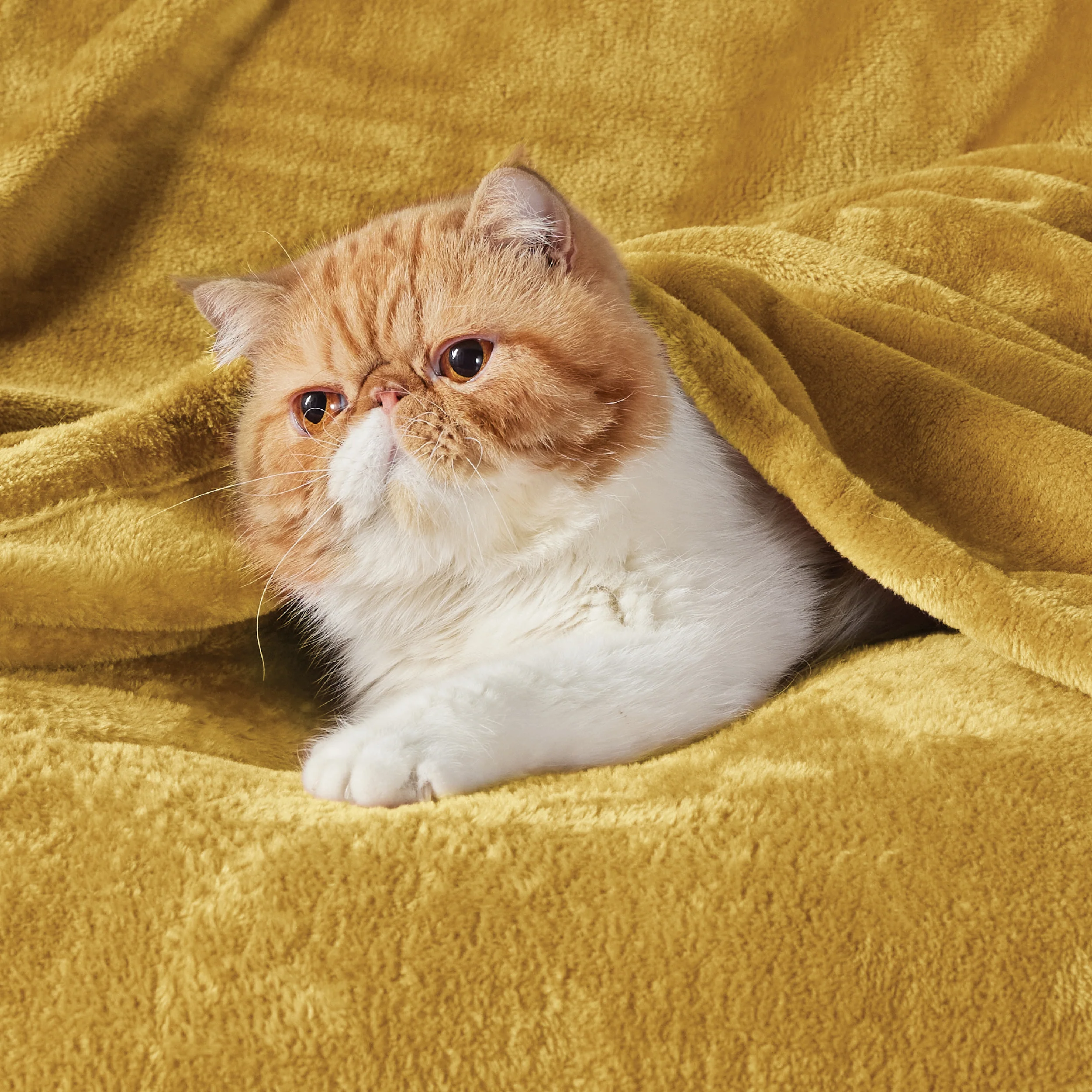 Product image 131