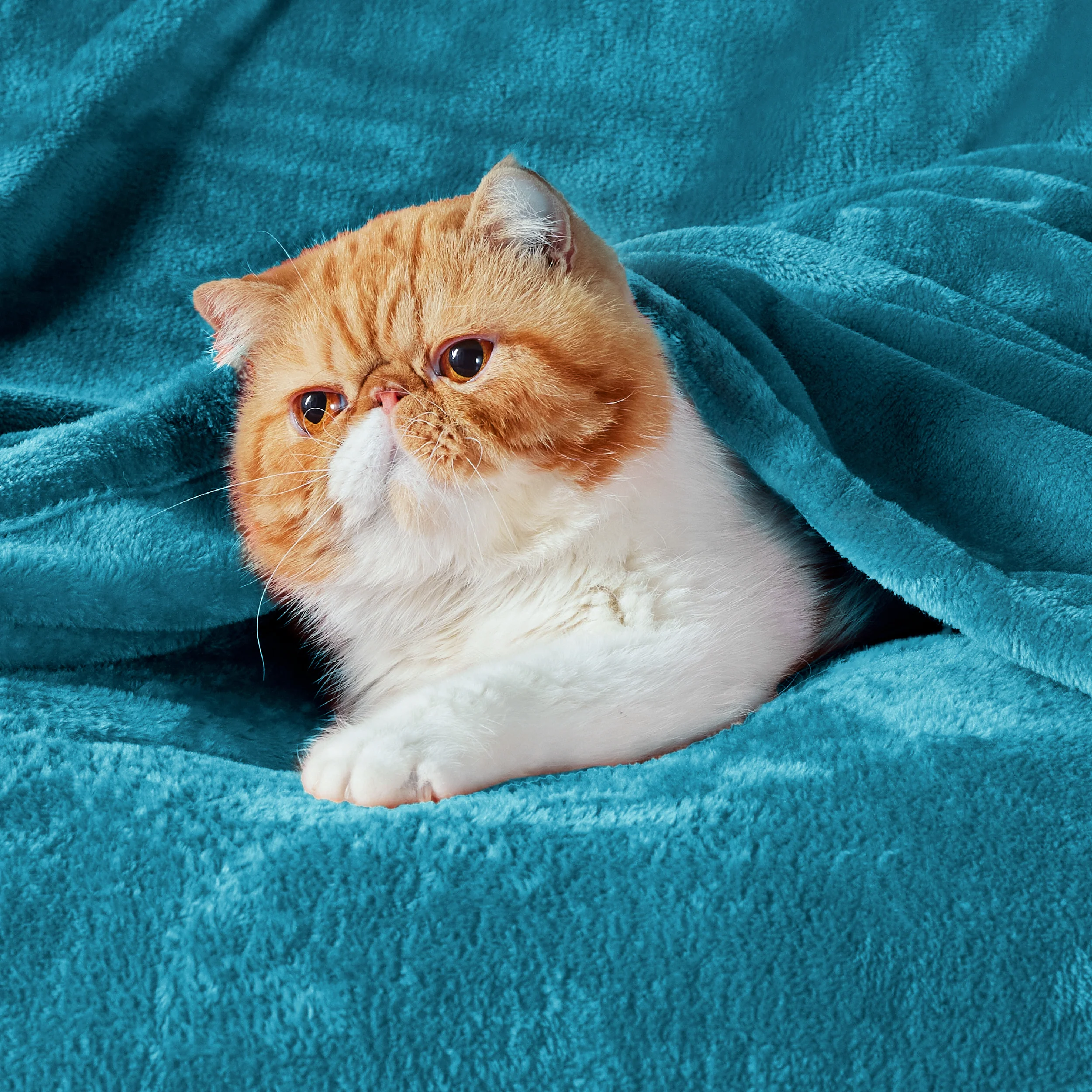 Product image 145