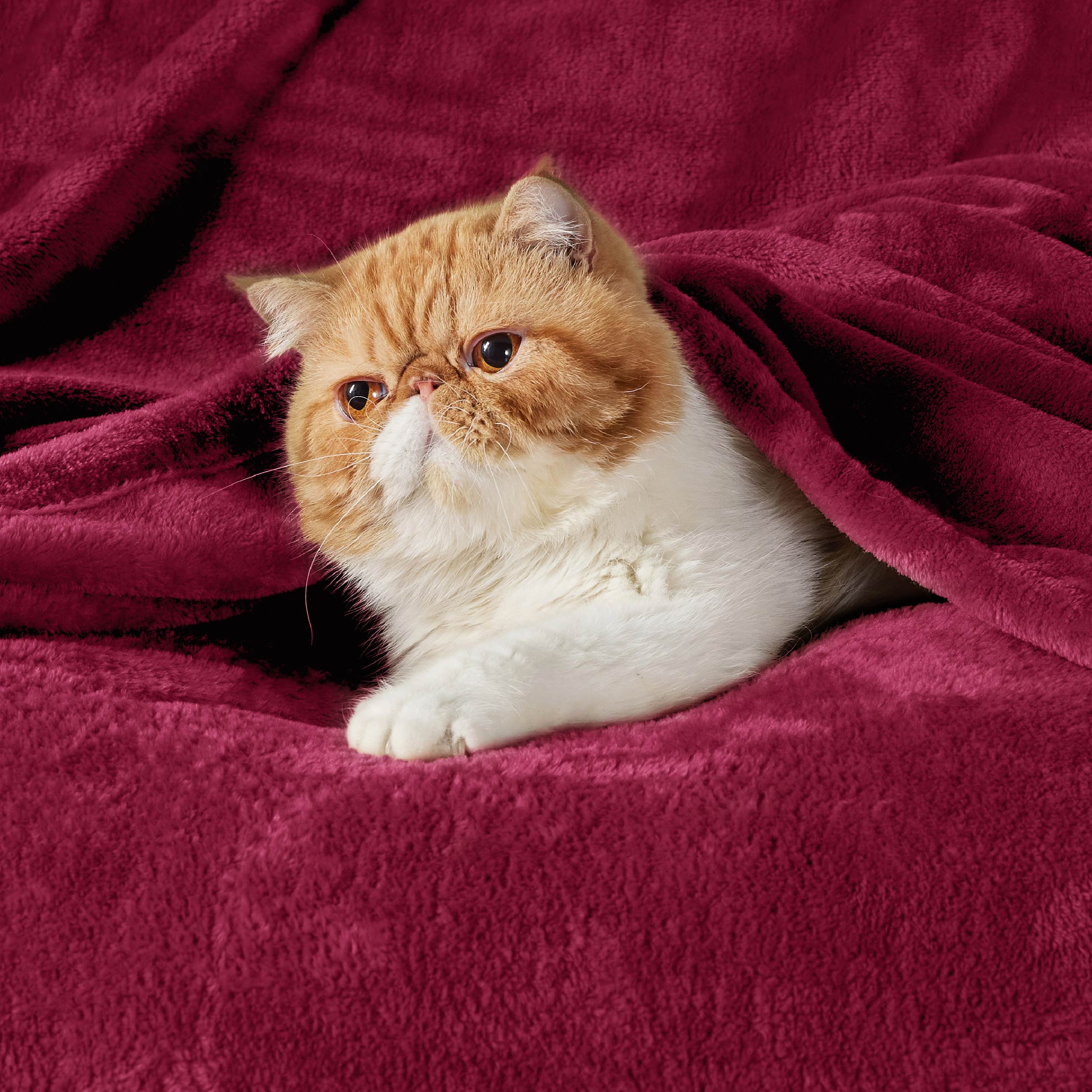 Product image 180