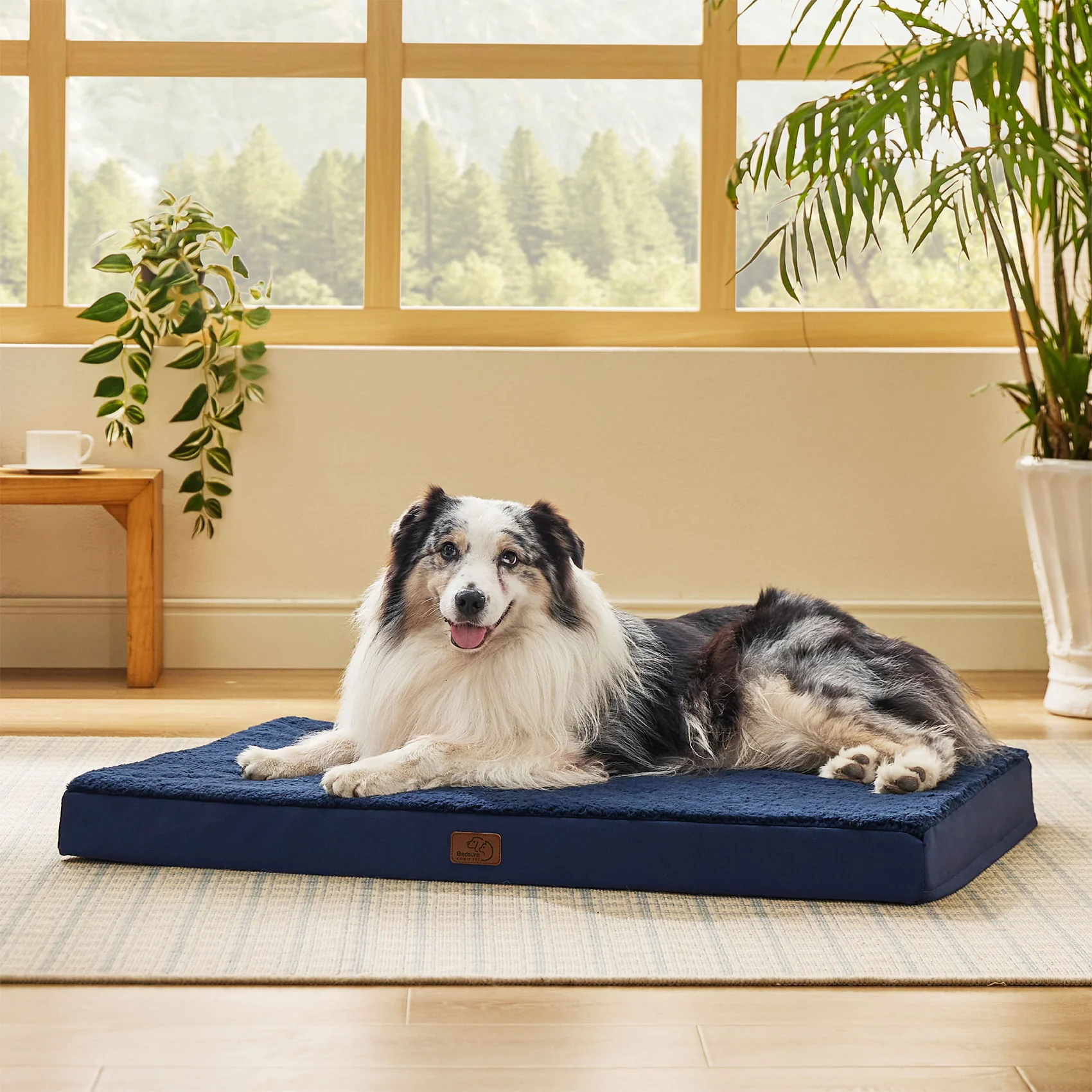 Product image 100