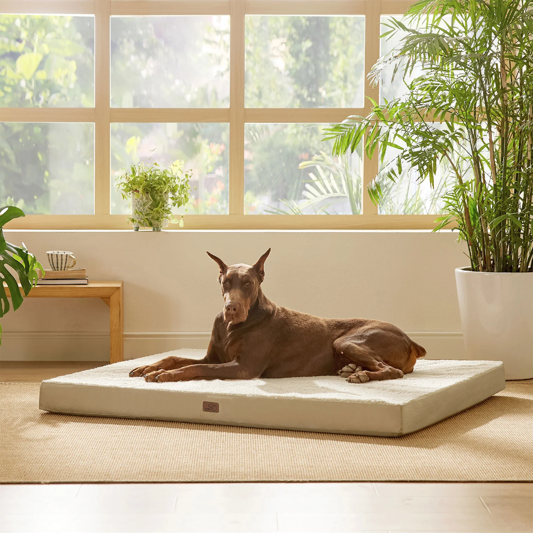 Product image 62