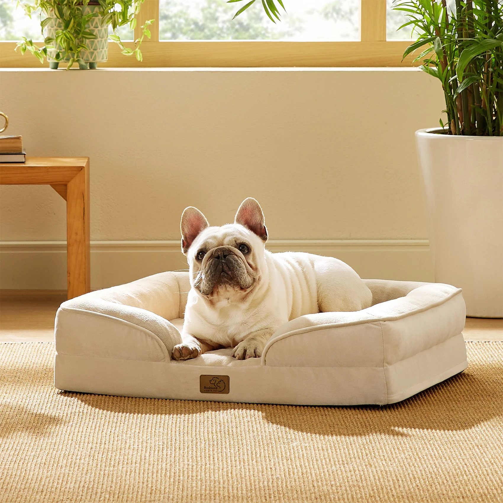 Product image 123