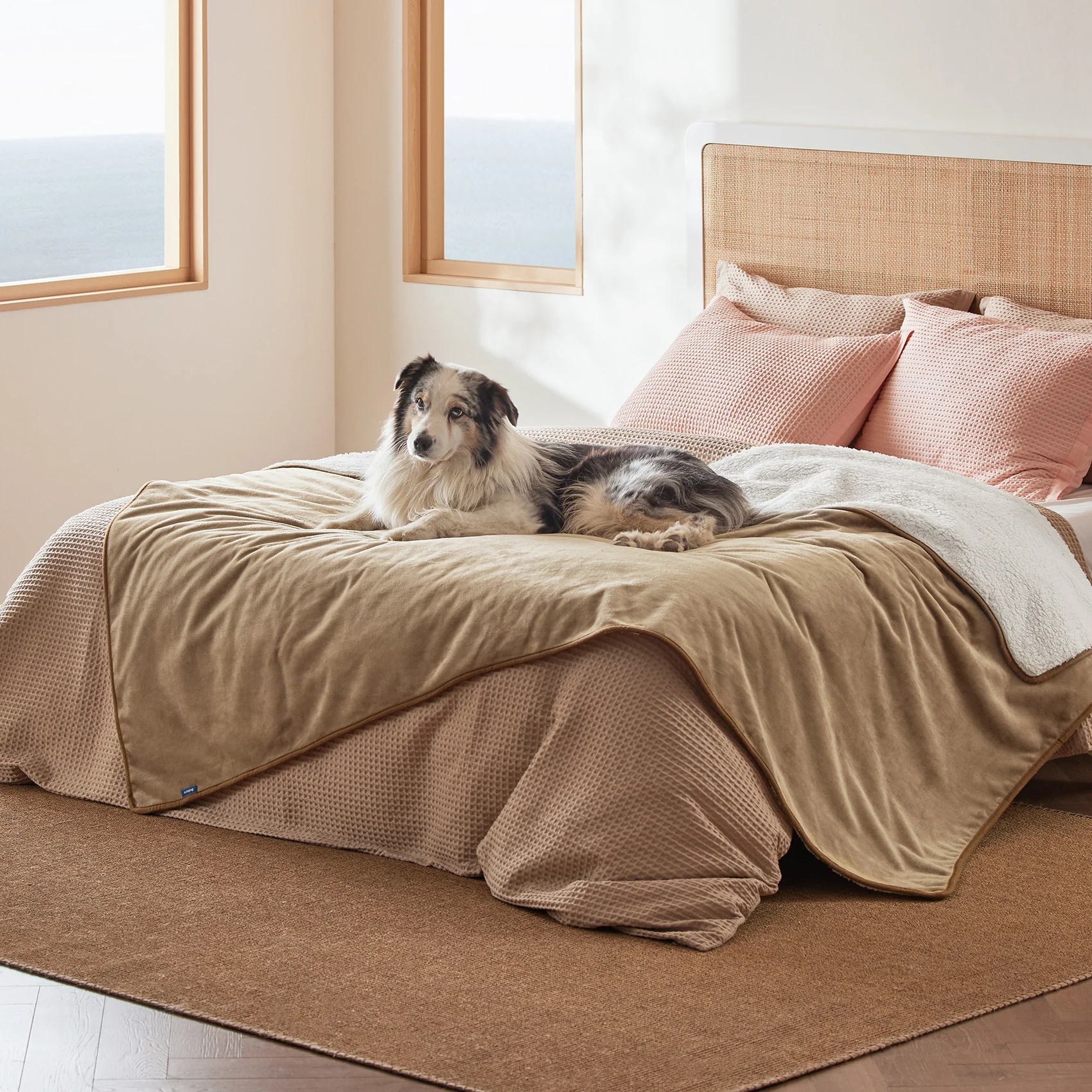 Product image 101