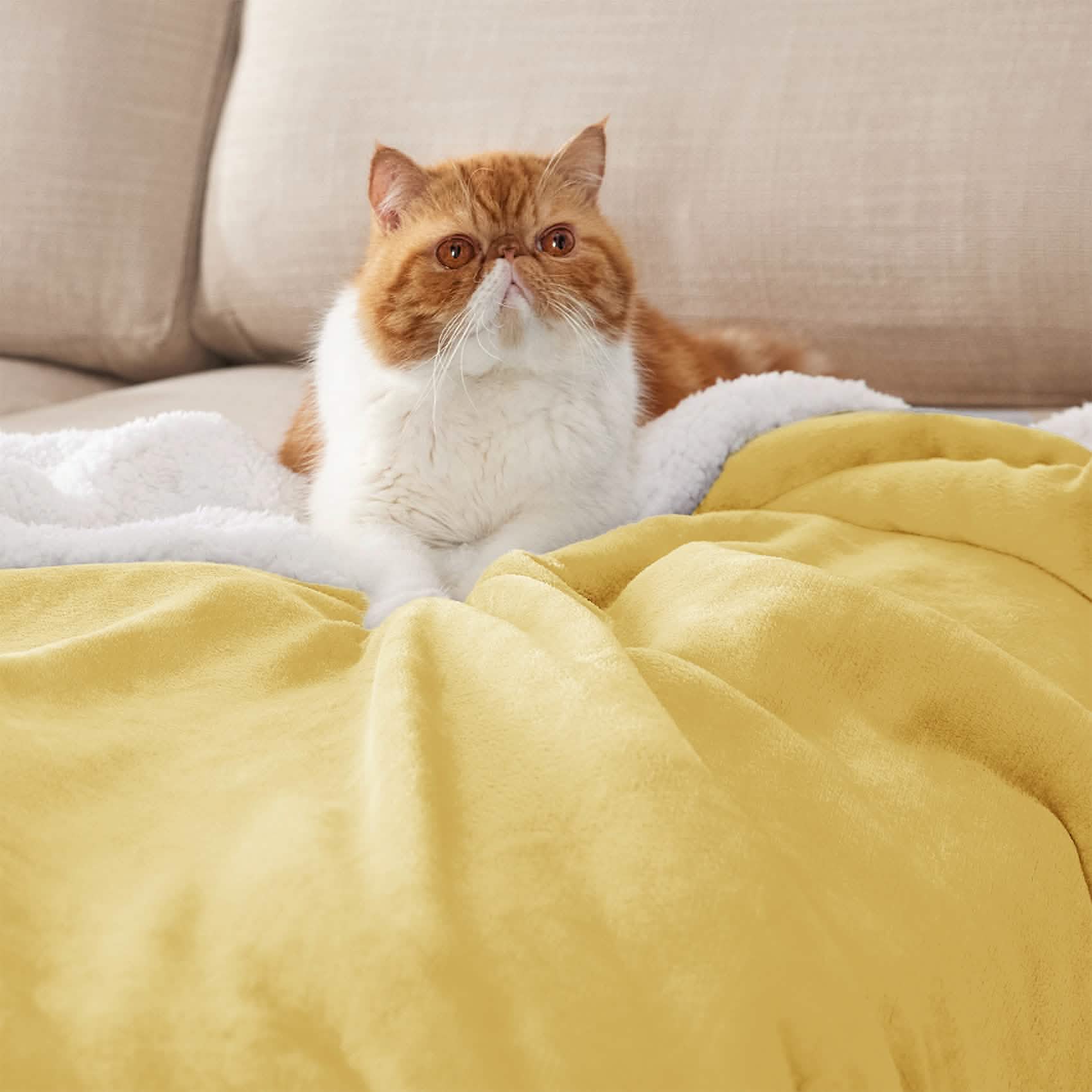 Product image 126